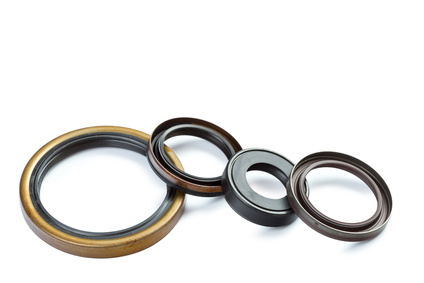 rotary shaft oil seals